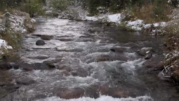 Rivière de montagne en forêt. Neige fraîche gît sur le bord du ruisseau. — Video
