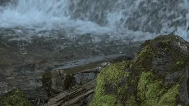 Piedra mojada sobre fondo de cascada de montaña. — Vídeo de stock