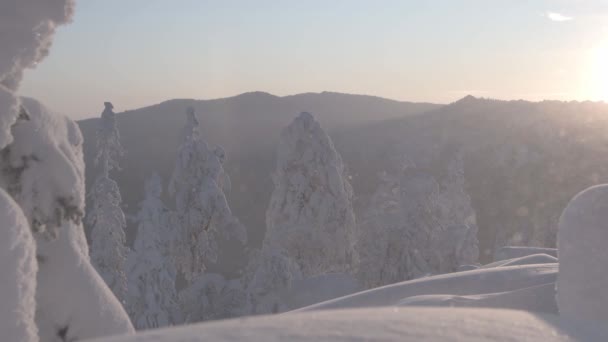 Panorama av snöig skog under blå himmel. Snödriva blåser längs sluttningen — Stockvideo