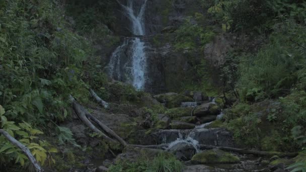 热带森林中被茂密的植被环绕的瀑布. — 图库视频影像