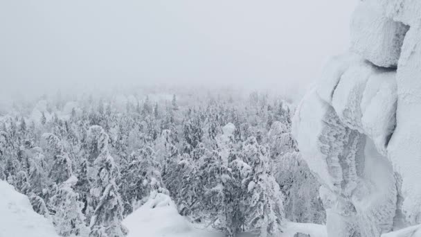Vue du sommet de la montagne à la forêt d'hiver. Des branches de sapins se déplacent dans le vent. — Video