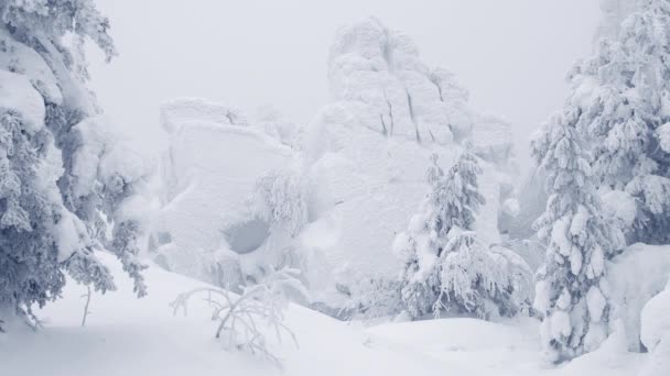 Gefrorener Fels umgeben von schneebedeckten Bäumen. Äste wiegen sich im Wind. — Stockvideo