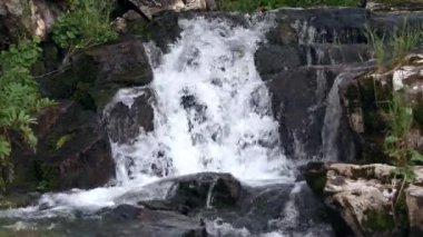 Dağ deresi taş çıkıntılardan aşağı akar.