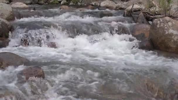 Mountain river cascades down the boulders. — Stock Video