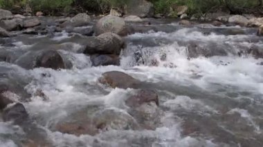 Islak kayaların arasındaki hızlı akıntı. Kayalık kıyı bitkilerinde ve ağaçlarda.