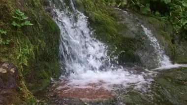 Orman şelalesi, yosunlu taşların arasında bahar. Granitte su kırılır.