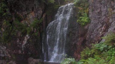 Orman şelalesi uçurumdan düşüyor ve kayalara çarpıyor.