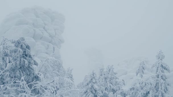 Schneebedeckte Klippen erheben sich über gefrorenen Wald. Langsamer Wind bewegt Äste — Stockvideo