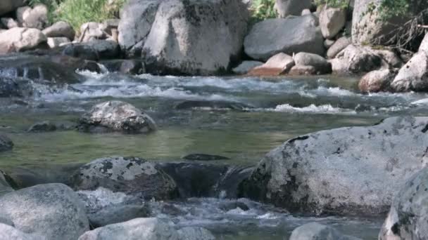 Ορεινός ποταμός ρέει ανάμεσα σε γκρι πέτρες. — Αρχείο Βίντεο
