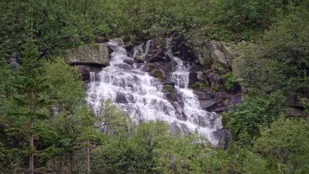 Cascade waterval omringd door bomen en planten — Stockvideo