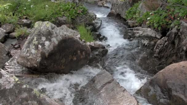 Nehir taşların üzerinden akar vadiden aşağı — Stok video