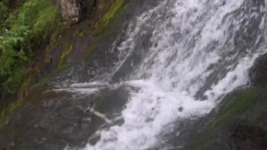 Dağ nehri hızla uçurumdan düşüyor. Akarsu yosunlarla kaplı.
