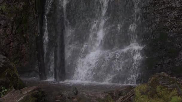 Streams of water run down mossy wall — Stock Video