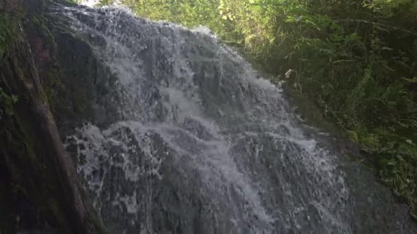 Erdei vízesés zuhog a mohával borított sziklán. — Stock videók