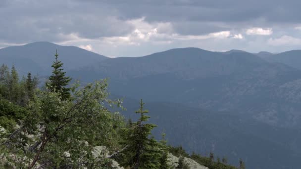 在蓝色的薄雾中，从森林斜坡看到柔和的山丘 — 图库视频影像
