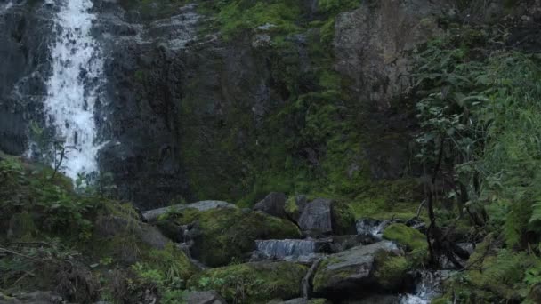 Vista panoramica della cascata verticale nella foresta pluviale — Video Stock