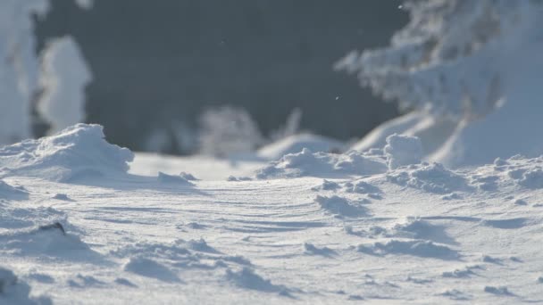 Сніжинки літають над замерзлим ґрунтом. Сніг після хуртовини — стокове відео