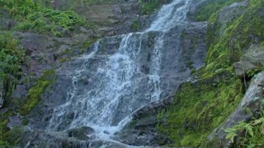 Yaz günü tropik şelale