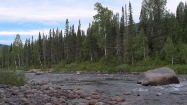 Dağ nehri kayalık yataklı
