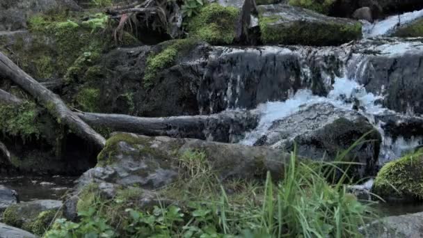 Flusso scorre lungo sporgenze di pietra e si rompe in piccoli spruzzi — Video Stock
