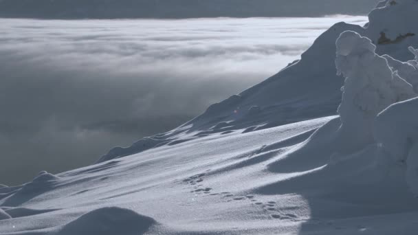 Vue depuis les pentes enneigées de la montagne dans la vallée — Video