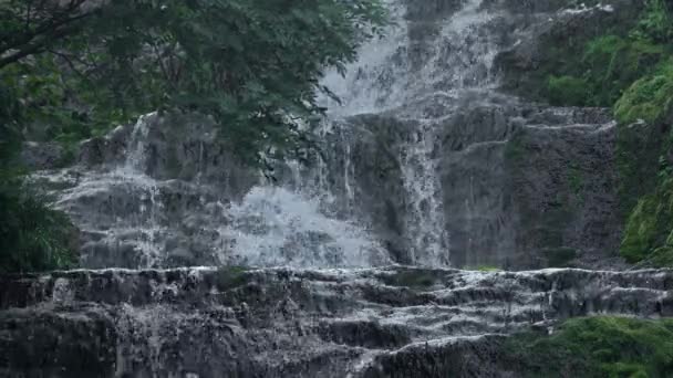 Wasser stürzt die Felsvorsprünge hinunter. Wasserfall im Regenwald — Stockvideo