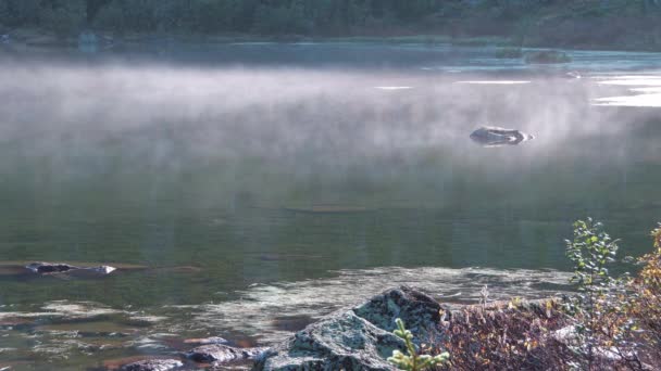 晨雾流过平静的湖面 — 图库视频影像