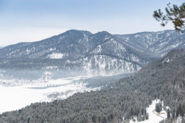 Kış ormanı manzarası ufukta kar yamaçlı tepeler