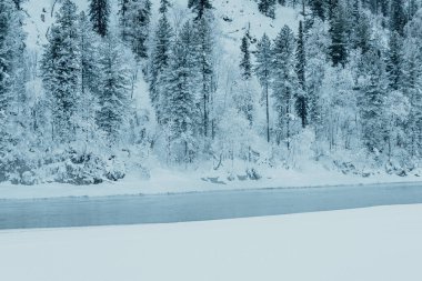 Kış nehrinin yanındaki karanlık kar ormanı. Göl kıyısı buz ve buzla kaplı. Soğuk yüzünden suyun üzerinde hafif buz gibi sis.