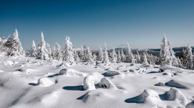 Mavi gökyüzünün altındaki kış ormanı manzarası. Güneşli bir günde kar fırtınalı dağ vadisi