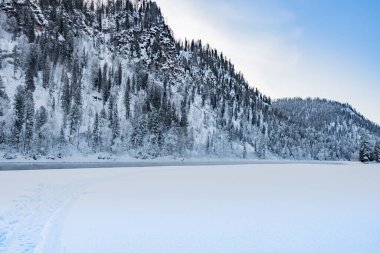 Buz gibi nehrin yamacındaki kar ormanı.