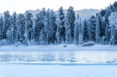 Nehir kıyısındaki kar ormanı. Sudaki buz ağaçlarının yansıması.