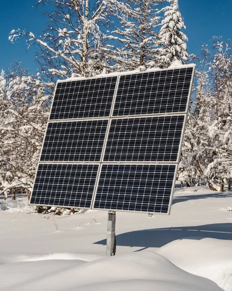 Solar panel with snowy forest on clear winter day