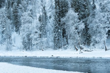 Nehir kıyısındaki kar ormanı. Sudaki buz ağaçlarının yansıması.