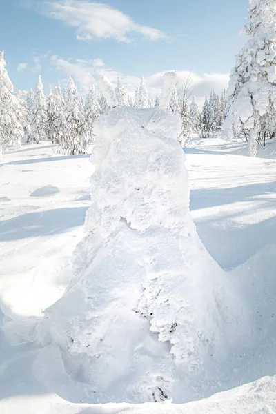 Forest of covered ice trees. Snow monsters on frozen mountainside sunny winter day