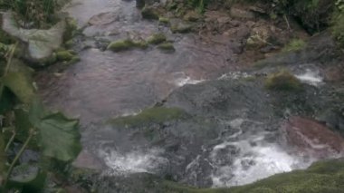 Yeşil yosunlarla kaplı taş çıkıntılardan akarsu akar.