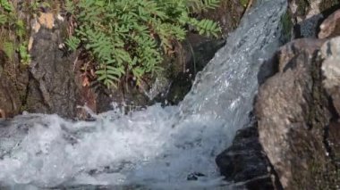 İlkbahar kayalara düşer. Jet parıldıyor ve damlıyor