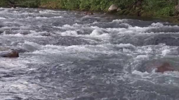 Stormachtige blauwe stroming van de rivier. Golven klapperen en borrelen — Stockvideo