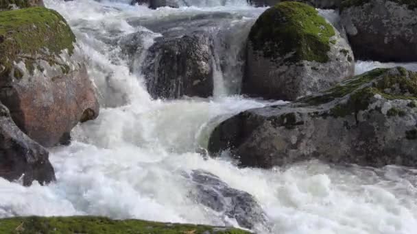 Cascadas de agua en cama de piedra. Río de montaña hierve y espumas — Vídeo de stock