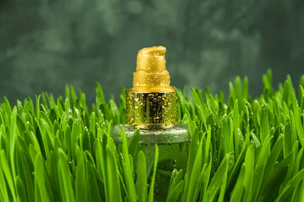 香水瓶上撒满了绿草上的露珠 更新身体护理喷雾器 — 图库照片