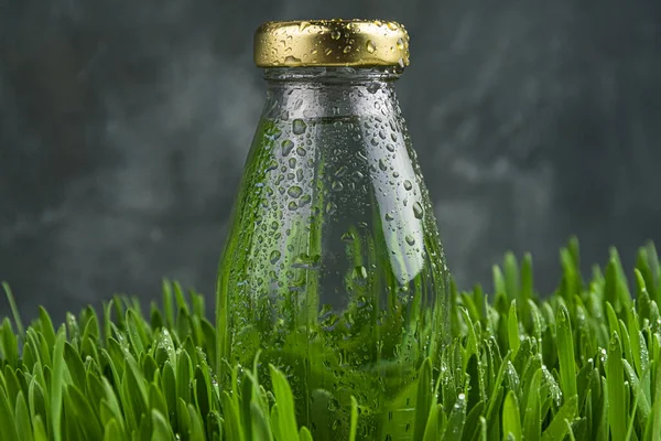 有黄色盖子的壶盖着水滴 在绿草中的玻璃杯上蘸水 清爽的早晨 喝酒的动机 — 图库照片