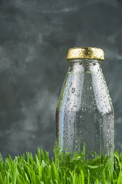 有水滴的新鲜饮料 草坪上的玻璃瓶夏天的景色是绿色的 布满了晨露 — 图库照片