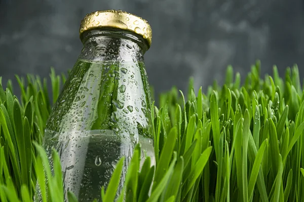 玻璃瓶里的水倒在草地上 露珠滴在水面上 然后离开 饮自然解渴 — 图库照片