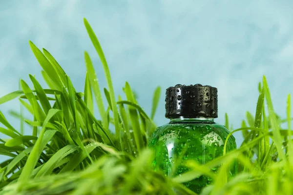 一壶绿色的香水涂满了露珠 蓝天衬托下新鲜的草坪 — 图库照片