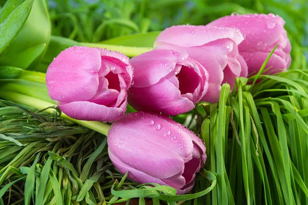 Bouquet Pink Tulips Green Meadow Romantic Gift Dew Drops Flower — Stock Photo, Image