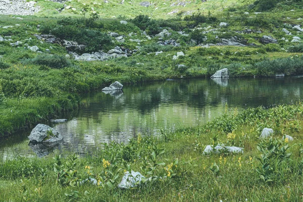 Horské Jezero Travnatými Břehy Balvany — Stock fotografie