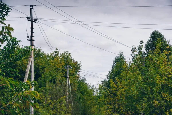 Poles Power Lines Intersecting Wires Autumn Forest Danger Human Interference — Stockfoto