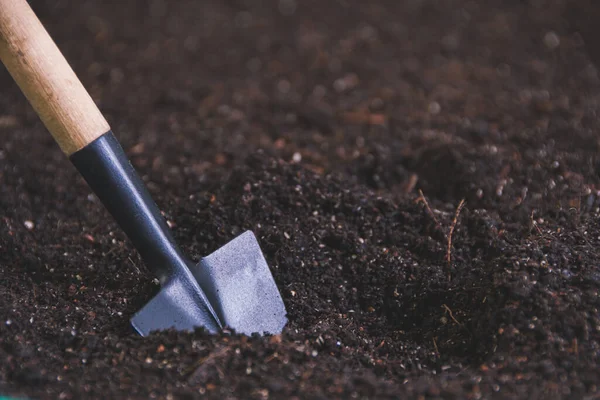 Pala Pequeña Suelo Para Plantar Plántulas Jardinería Herramientas Para Cuidado —  Fotos de Stock