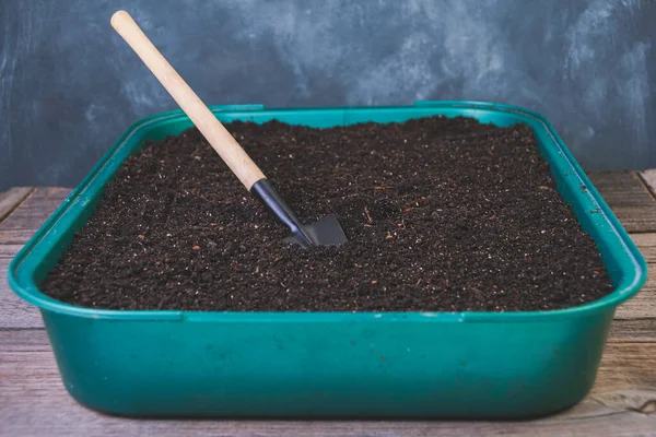 Preparation Garden Soil Seedlings Peat Green Container Table Home Spring Royalty Free Stock Photos