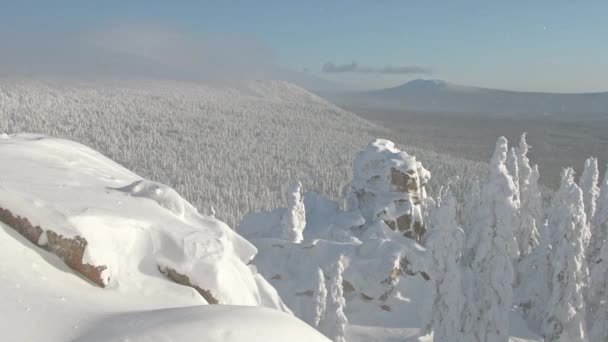 Prachtig uitzicht op besneeuwde vallei vanaf de top van de berg — Stockvideo